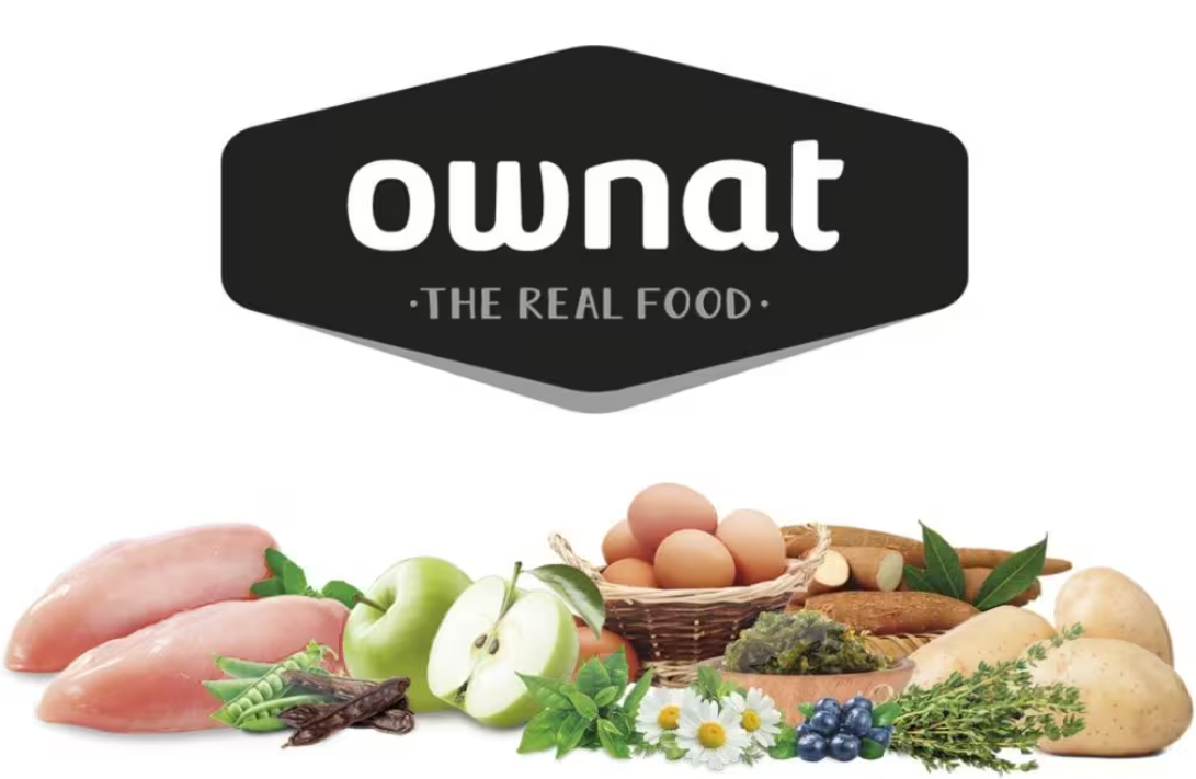 Capture d'écran 2026-04-17 151006