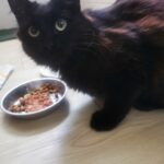 Luna adoptée en avril 2024