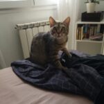 Ruby adoptée en septembre 2023